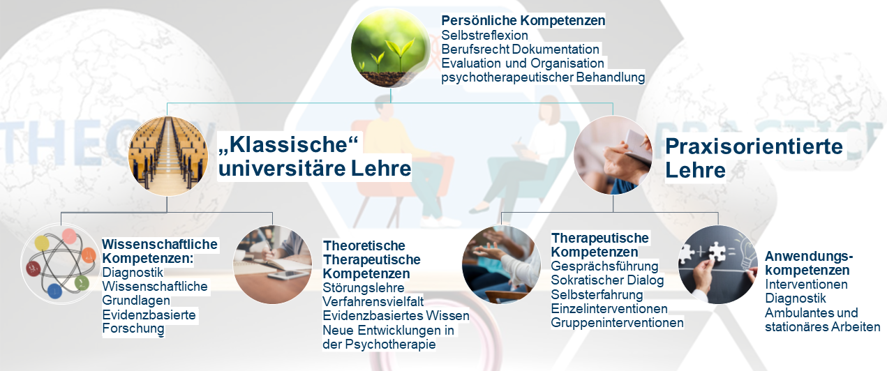 Detaillierte Aufteilung von persönlichen Kompetenzen in klassische universitäre Lehre mit wissenschaftlichen und theoretischen therapeutischen Kompetenzen, sowie praxisorientierter Lehre aus therapeutischen kompetenzen und Anwendungskompetenzen